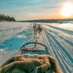 Read more about the article Lapland Holiday Guide: Rovaniemi & Trip Tips (2026)