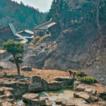 Read more about the article 9 Best Day Trips from Tokyo – Japan